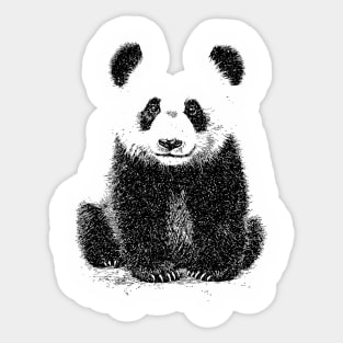 Cute Panda Sticker